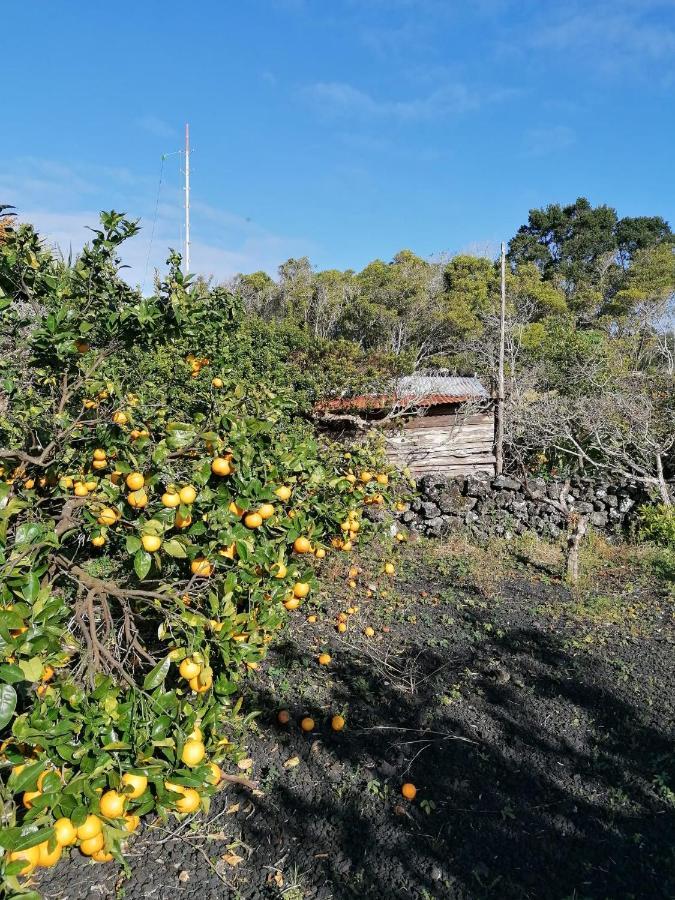Rosa Do Canto Monte  Eksteriør bilde